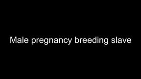 Gay Male pregnancy breeding slave