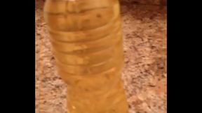 Piss in the toilet after filling a bottle with piss.