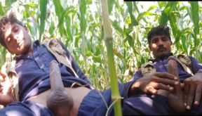 Solo boy cumshort full video