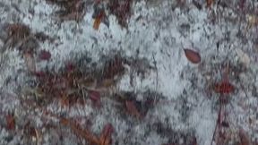 Barefoot in the Woods - Teasing Toes & Bare Soles