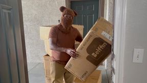 teddy express special delivery