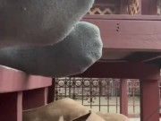 Tiny man POV in my sweaty Socks and house slippers