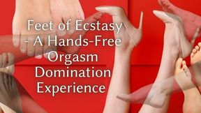 The NLP toolbox: Feet of Ecstasy - A Hands-Free Orgasm Domination Experience