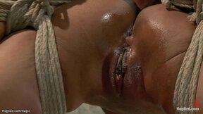 ”Hogtied black oiled & humiliated”