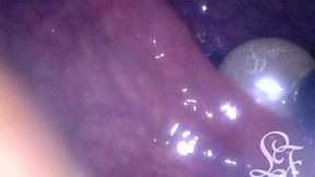 cam inside ass: ball chain disappears deep in her hole