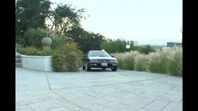 The Fool Enjoys Sucking