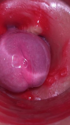 Super Cum in Vagina. Excellent Internal Camera. 4K