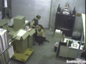 Office slut gets down and dirty sucking dick