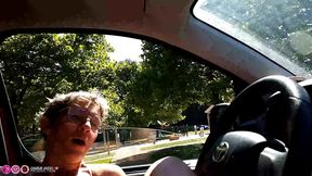 en voiture avec charlie jusqu&#039;en alsace : il fait chaud !