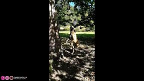 en voiture avec charlie jusqu'en alsace : il fait chaud !