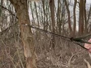 SURVIVAL bushcraft skills: camping lifehacks outdoors forest asmr