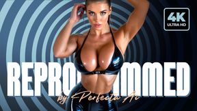 Reprogrammed by PERFECTA AI