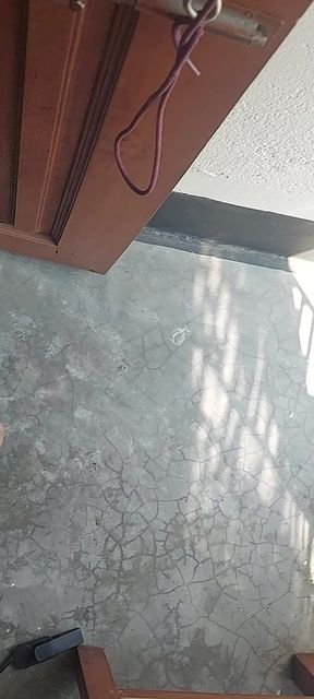 My Cock