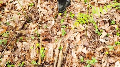 A stranger fucks me in the forest till my ass drips cum