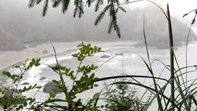 anal princess with massive tits sodomized by a fake lumberjack