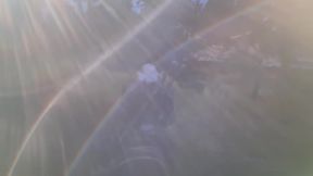 During The Computer Game The Witcher It Is A Pleasure To Finish