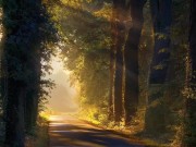 Dipping cock in a clear glass with water and see how it zoom in and gets bigger