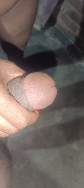 Village Desi