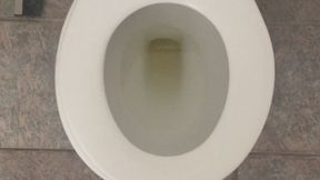 I PEE GOLD INTO MY TOILET SUPPORT ME