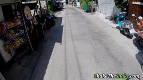 Shake The Snake - a Beautyful Asian Slut is Banged POV by a Pickup Dude.