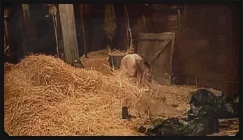 Penny Pax's Sensual Submission: Whipped and Fucked