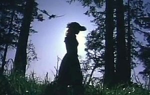 THE PLEASUER HUNT  GINGER LYNN