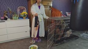 feeding My hubby bitch