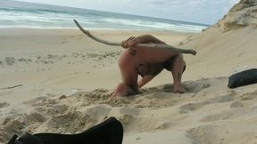 guy fucks himself on the beach with a wooden dildo