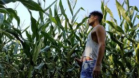 Summer Jerk off in Corn Field - Twitching Cumming Cock