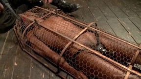 Device Bondage: Runway Model Turned Slut, Gets Destroyed