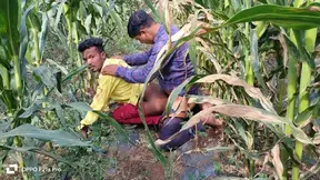 Hot Laborer Takes On Partner Amidst Golden Cornfields In Sizzling Indian Gay Scene