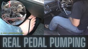 Goth Girl's Stubborn 66 Cadillac Hearse