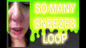 SO MANY SNEEZES LOOP