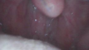 Bailey Milf Mouth Endoscope