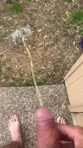 Back porch pissing