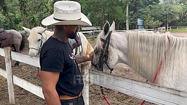 Cowboy