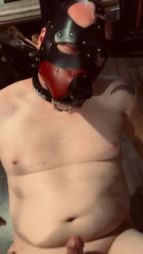 Submissive Pegging