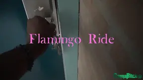 Blonde Milf loves deepthoating BBC