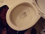 Alexs Piss After the Party
