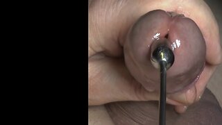 The close penetration bdsm sounding series 2023: uncut cocks & 13mm rosebud rods