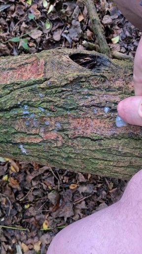 Outdoor wank