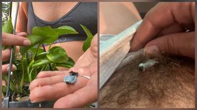 Giantess Finds Tiny Man Outside &amp; Brings Him Indoors For Some Fun