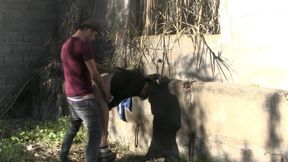 bareback neighbors 23