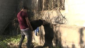 bareback neighbors 23