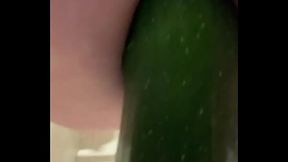 Zucchini