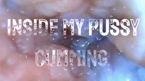 Internal View: Pussy cumming