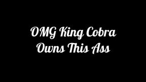 omg king cobra owns this ass: sexy alex priest gets her first bbc anal