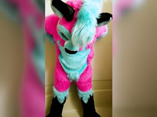 Totally An "Accident" - A full fursuiter pisses themselves