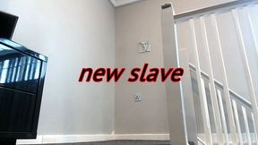 New slave (AVI)