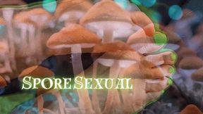 SporeSexual: Witch Goddess Devora Moore Enchants Her Foot Odor with Mindfuck Mushrooms ft OctoGoddess Sweaty Feet wmv Version